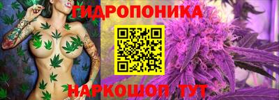 индика Донской