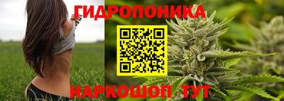 первитин Дубна