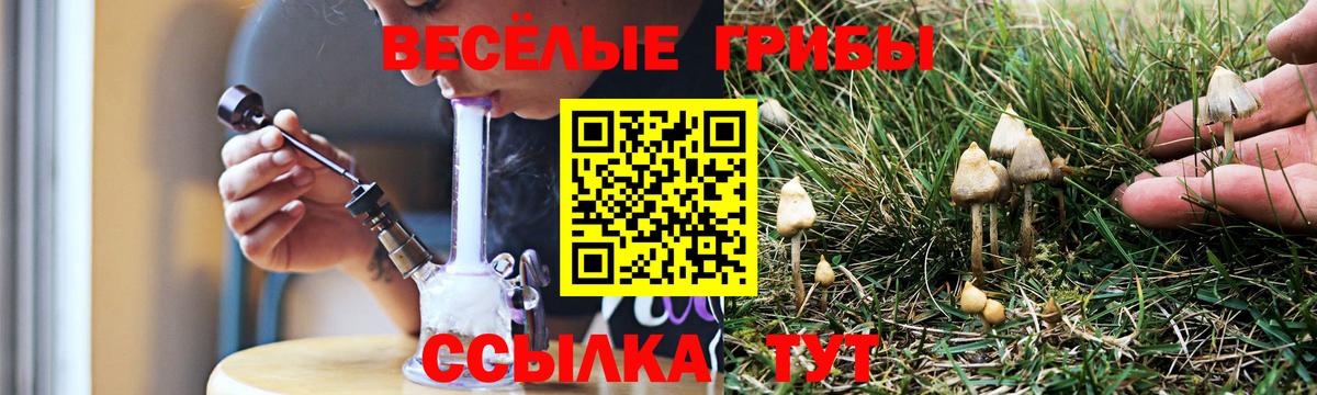 Михайловск  магазин продажи   Галлюциногенные грибы GOLDEN TEACHER  Вход с VPN  Галлюциногенные грибы мицелий 